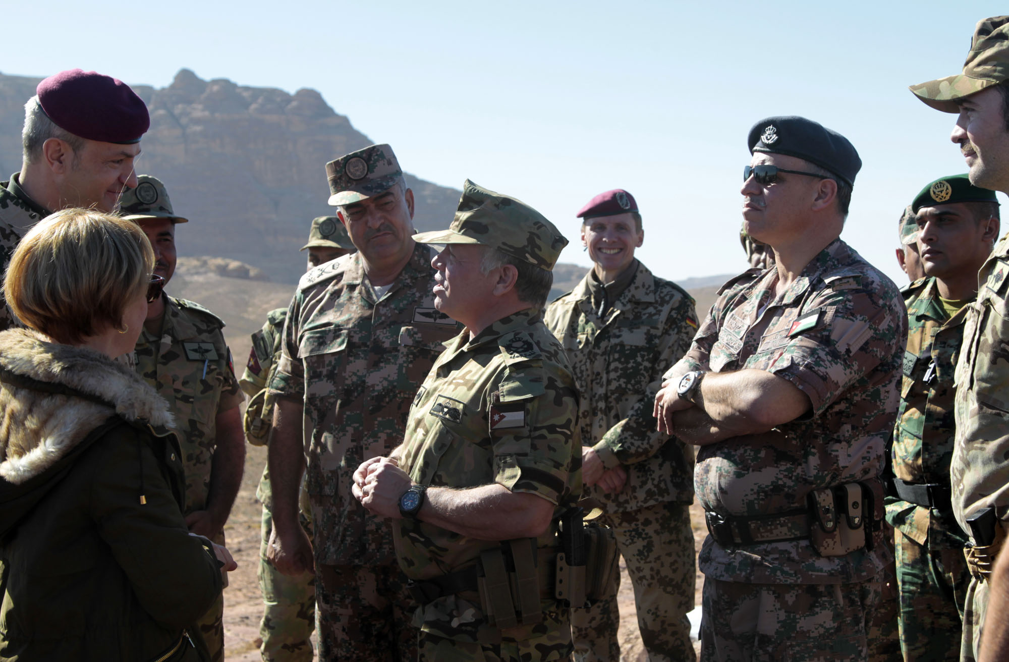 King attends joint drill with German forces