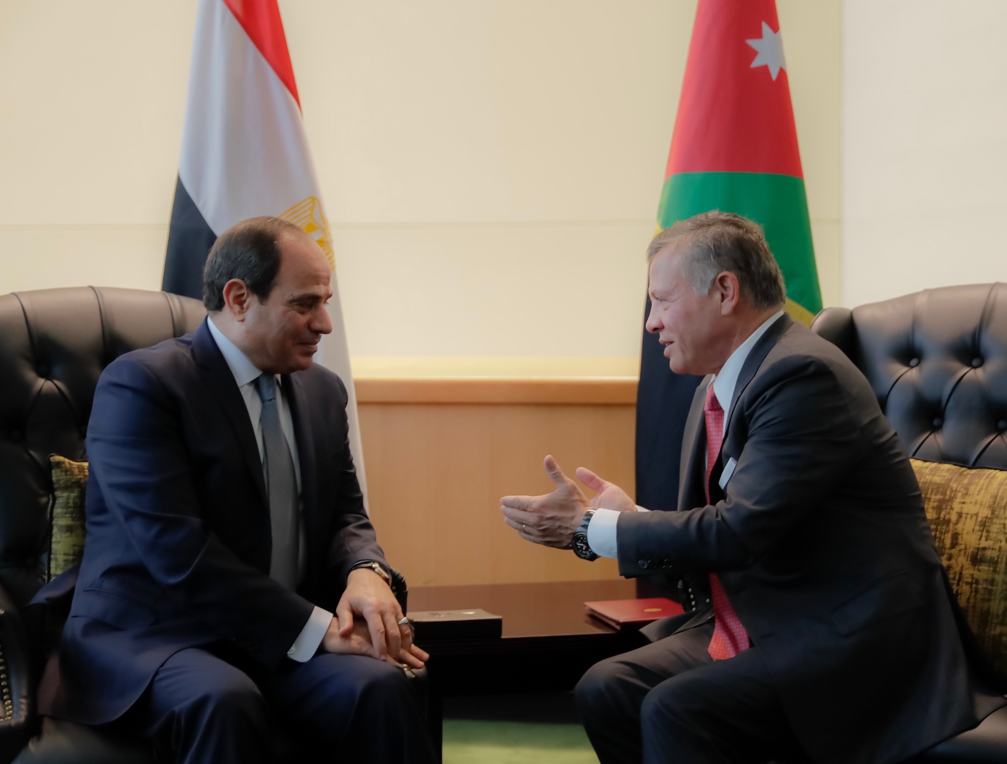الملك والرئيس المصري يؤكدان أن حل الدولتين هو السبيل الوحيد لتحقيق السلام في المنطقة